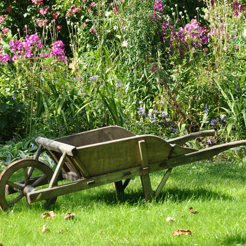 Auswertung der Gartenbegehung